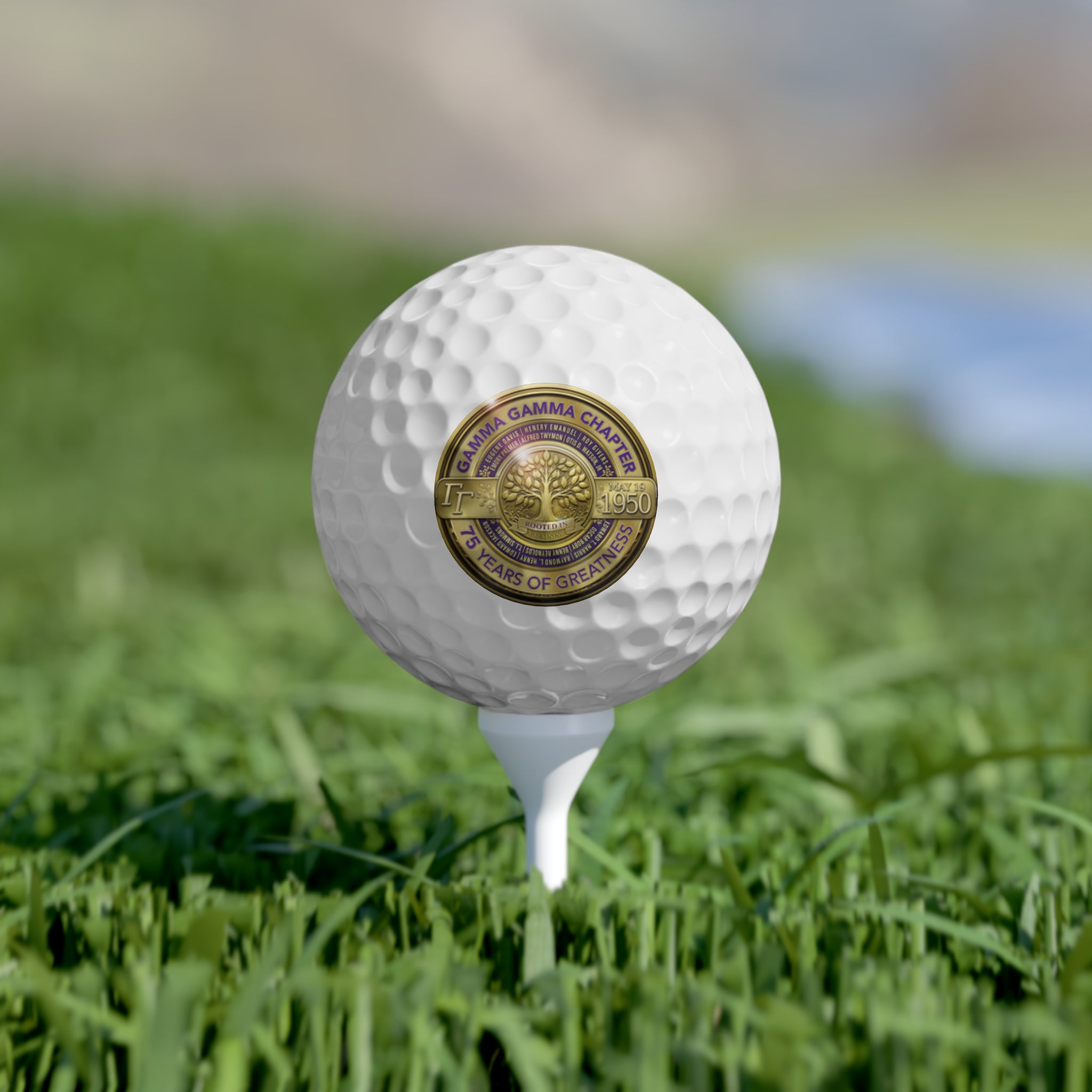 For the golfing Bruhs!